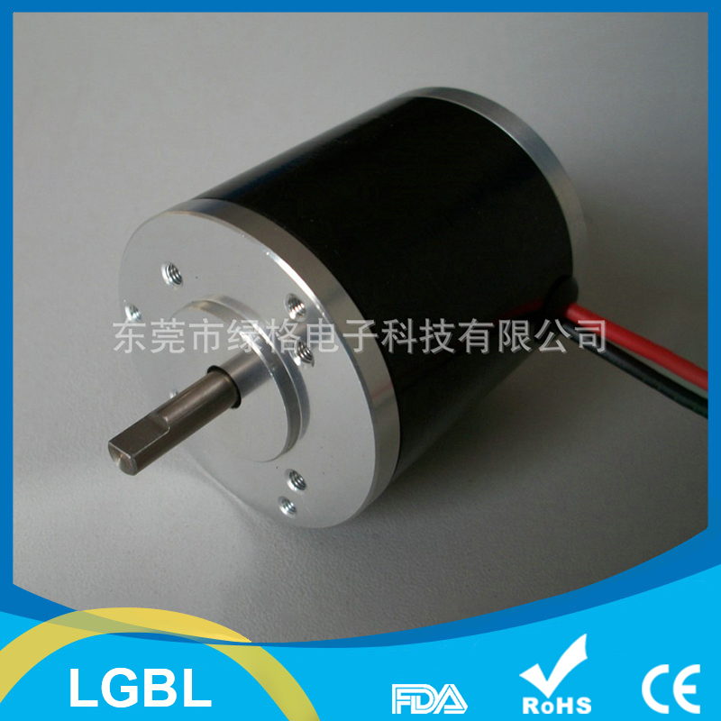 LGBL45小型無刷電機